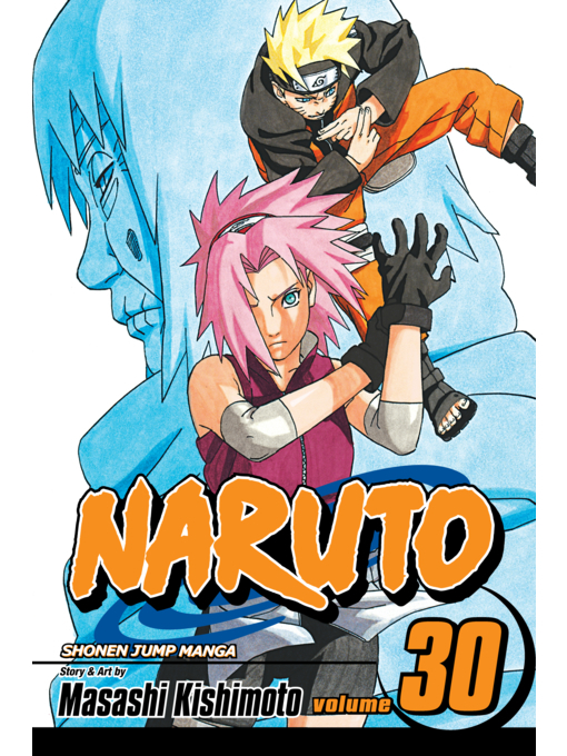 Title details for Naruto, Volume 30 by Masashi Kishimoto - Wait list